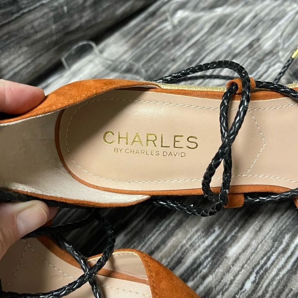 EUC Charles by Charles David Boston Microsuede Wedge Sandals